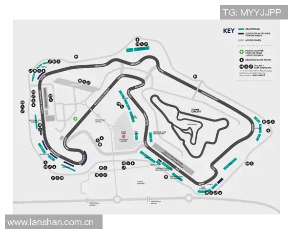 F1赛季车队策略调整及赛道适应性分析